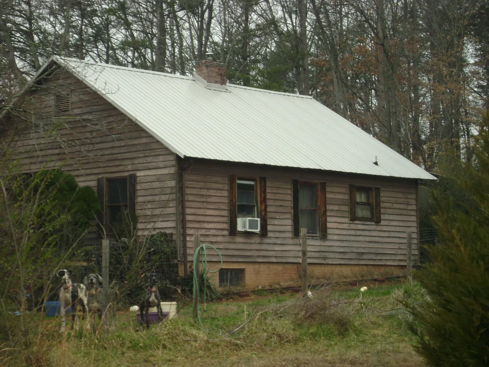 White metal roof on an old wood sided farmhouse, from a Asphalt Shingle Roof Repair job in Portage